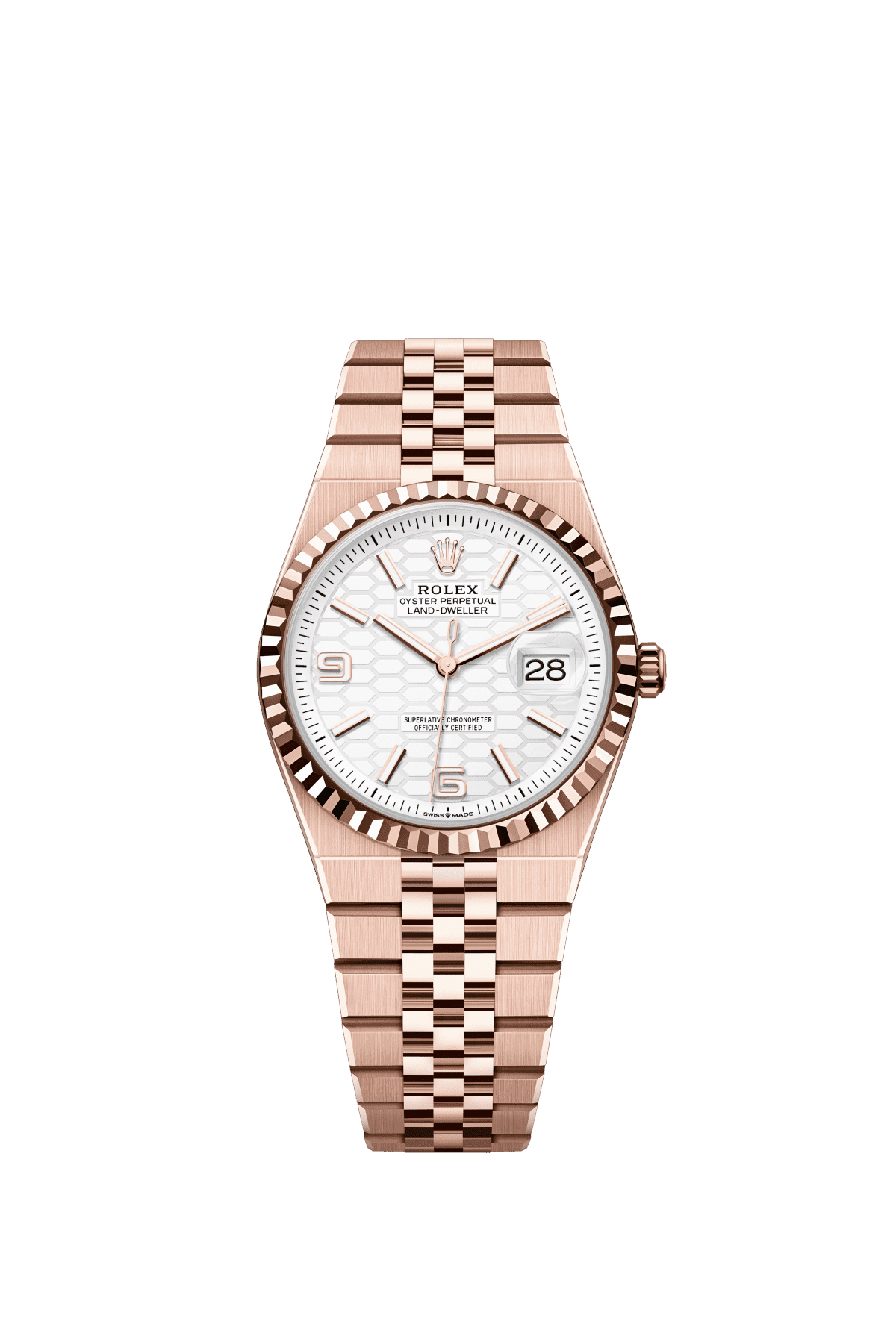Rolex Land-Dweller 36 127235 — official Rolex imagery (© Rolex)