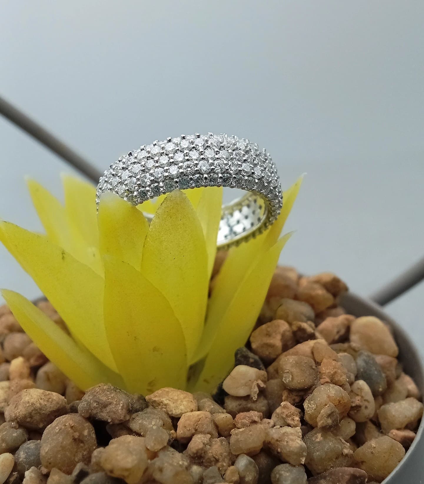Pavé Diamond Statement Band